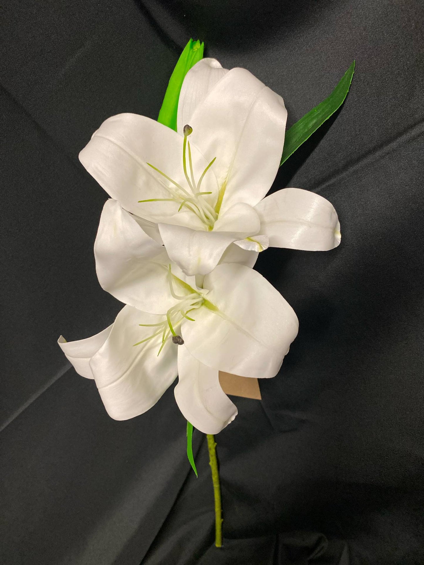 White Lily Permanent Botanicals