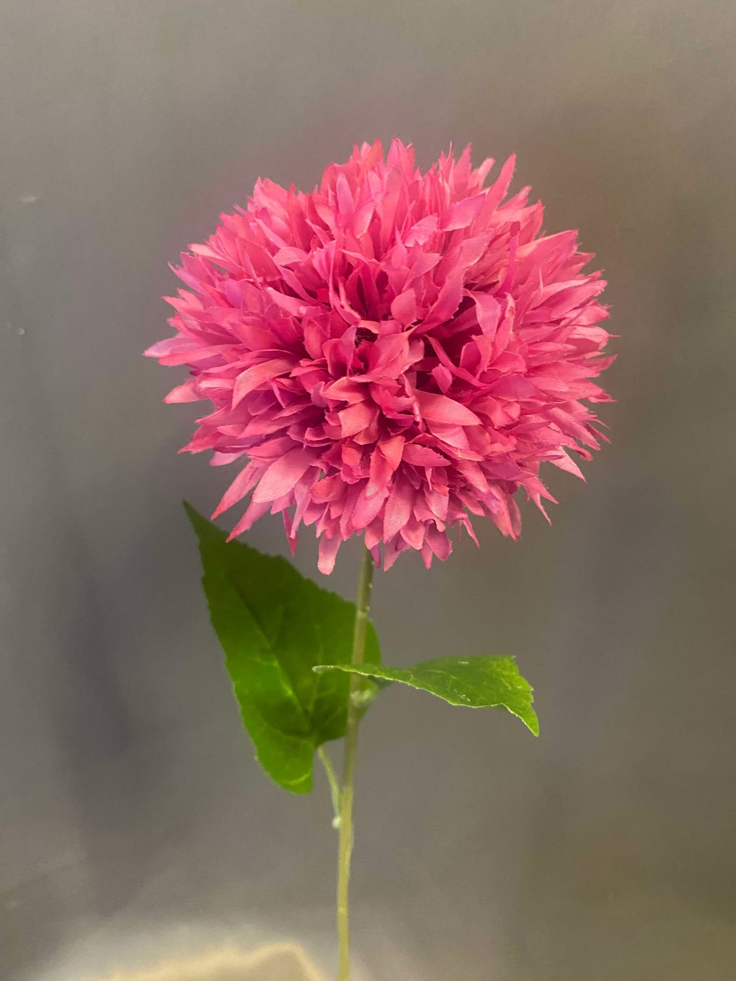 Pink Pom Permanent Botanicals