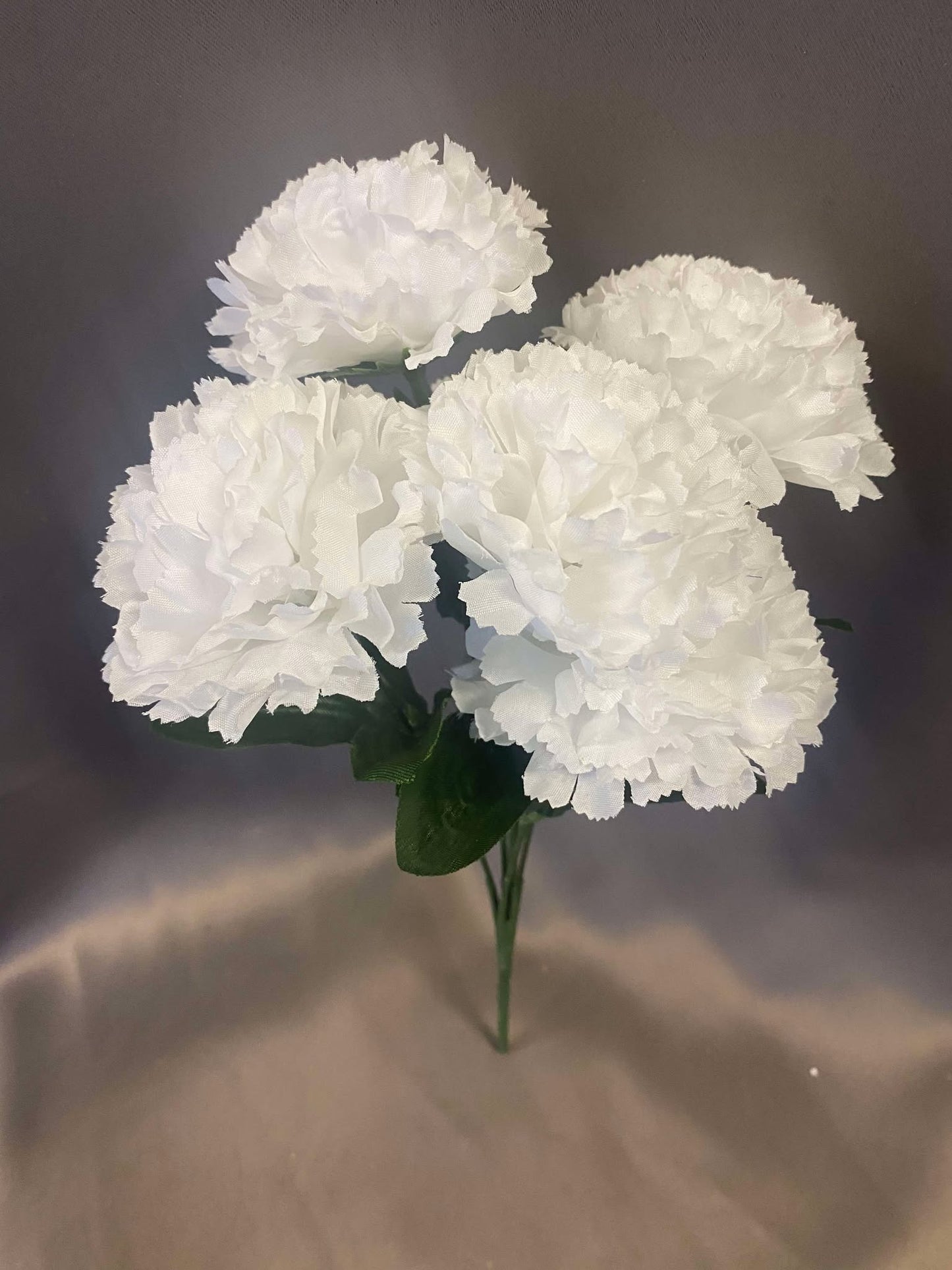 White Carnation Permanent Botanicals