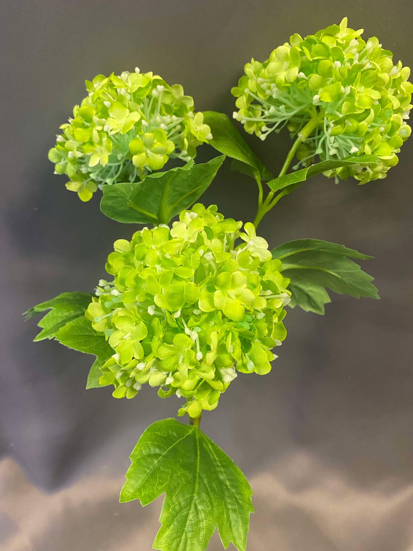 Green Viburnum Spray Permanent Botanicals