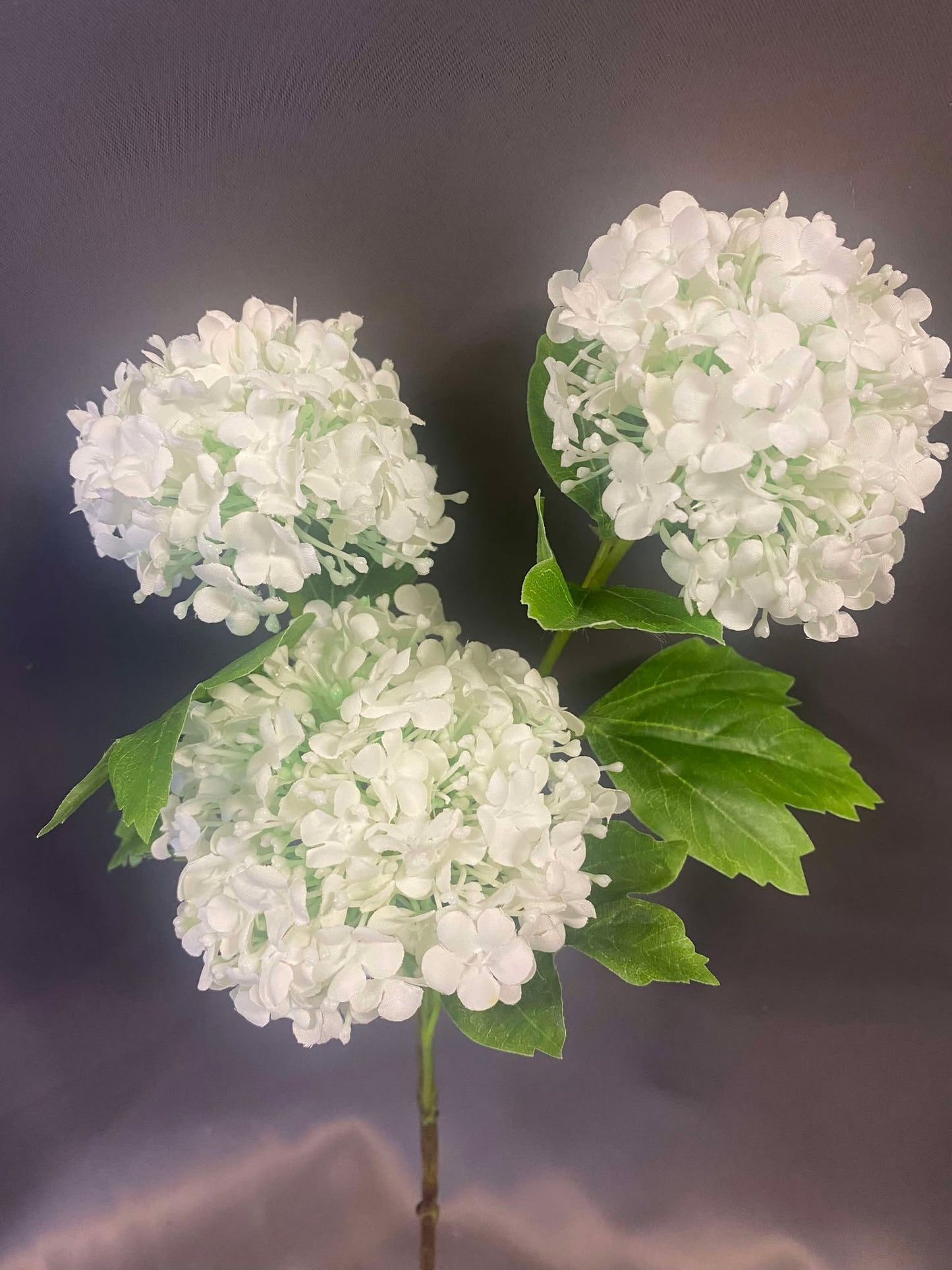 Viburnum Spray Permanent Botanicals