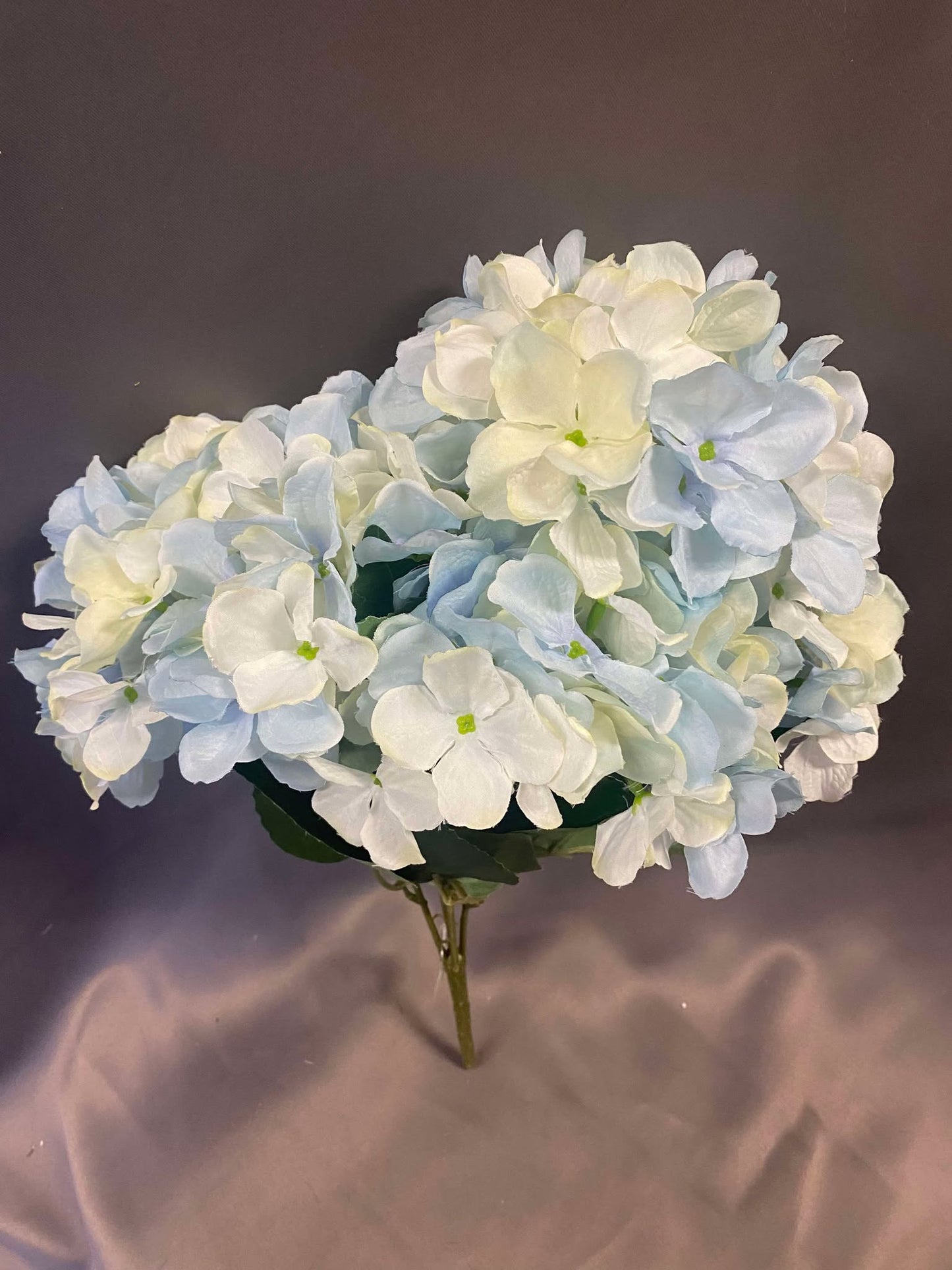 Blue and Cream Hydrangea Permanent Botanicals