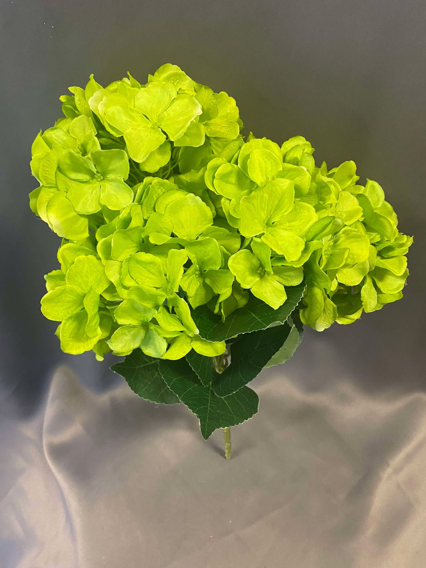 Green Hydrangea Permanent Botanicals