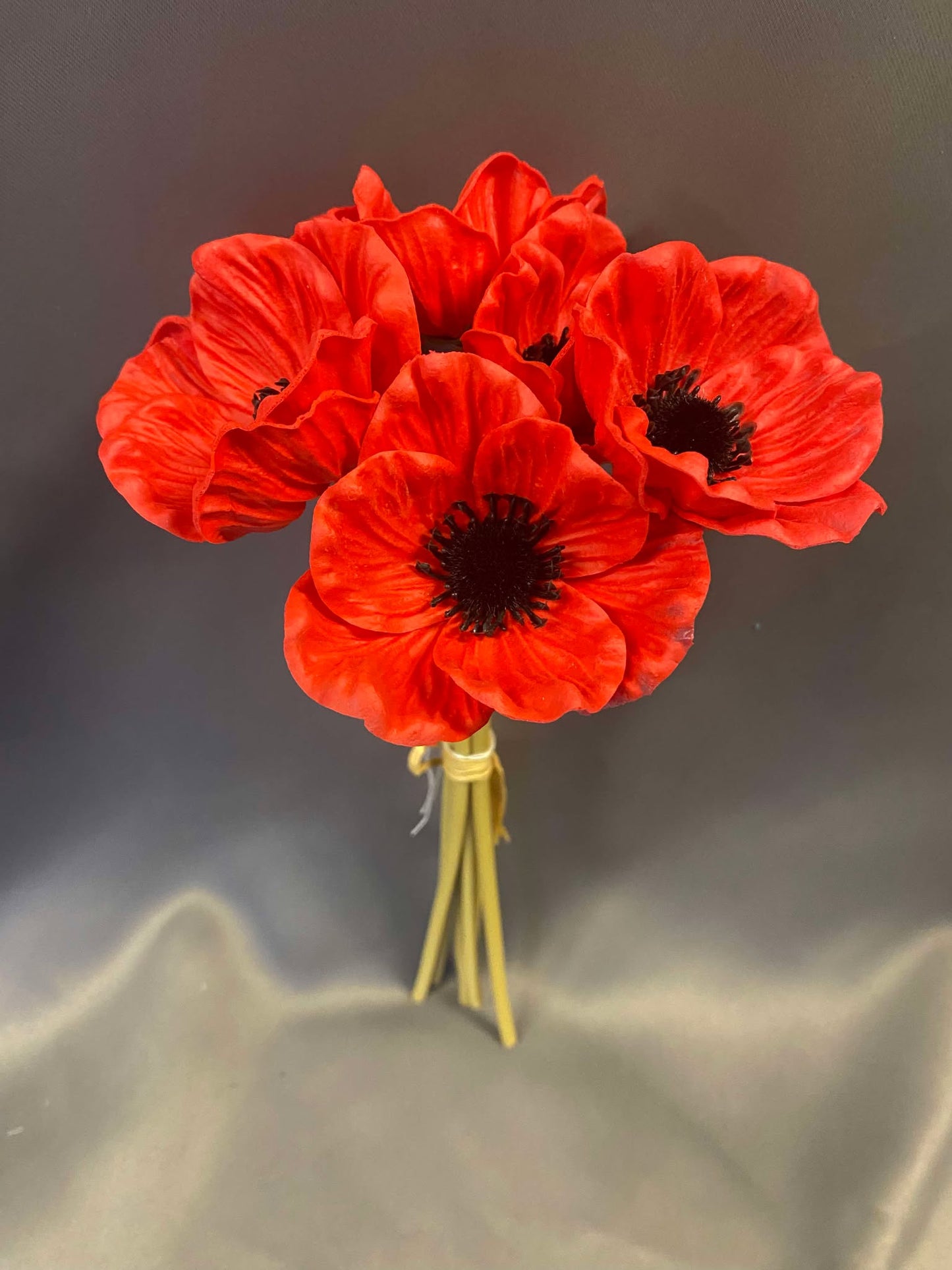 Red Anemone Permanent Botanicals