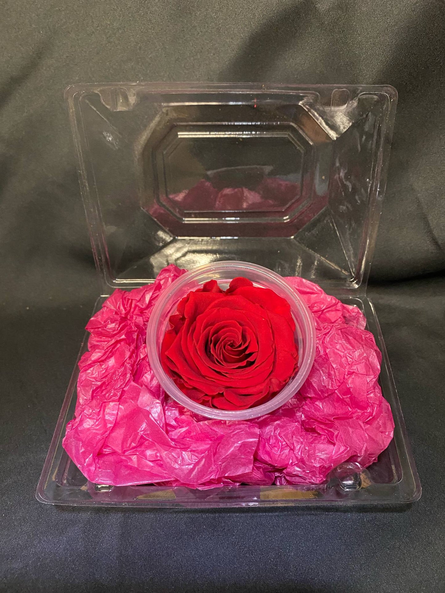 Red Forever Rose
