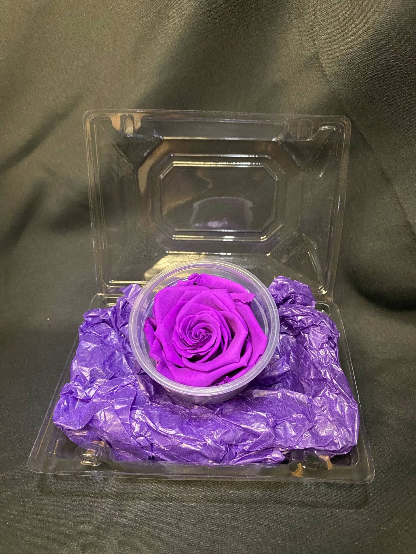 Purple Forever Rose