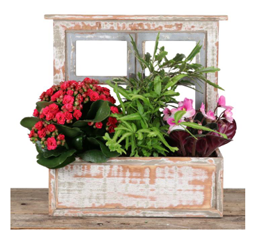 🌼 Mom’s Rustic Bloom Box 🌼