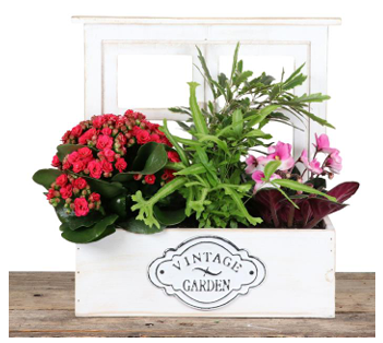 🌿 Rustic Charm for Mom 🌿