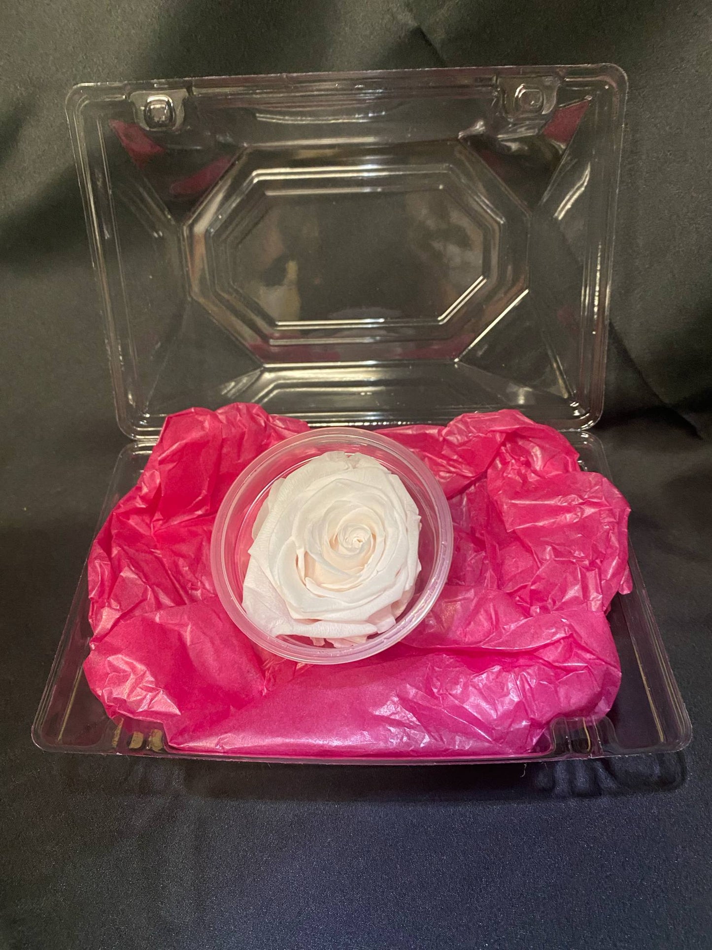 Light Pink Forever Rose