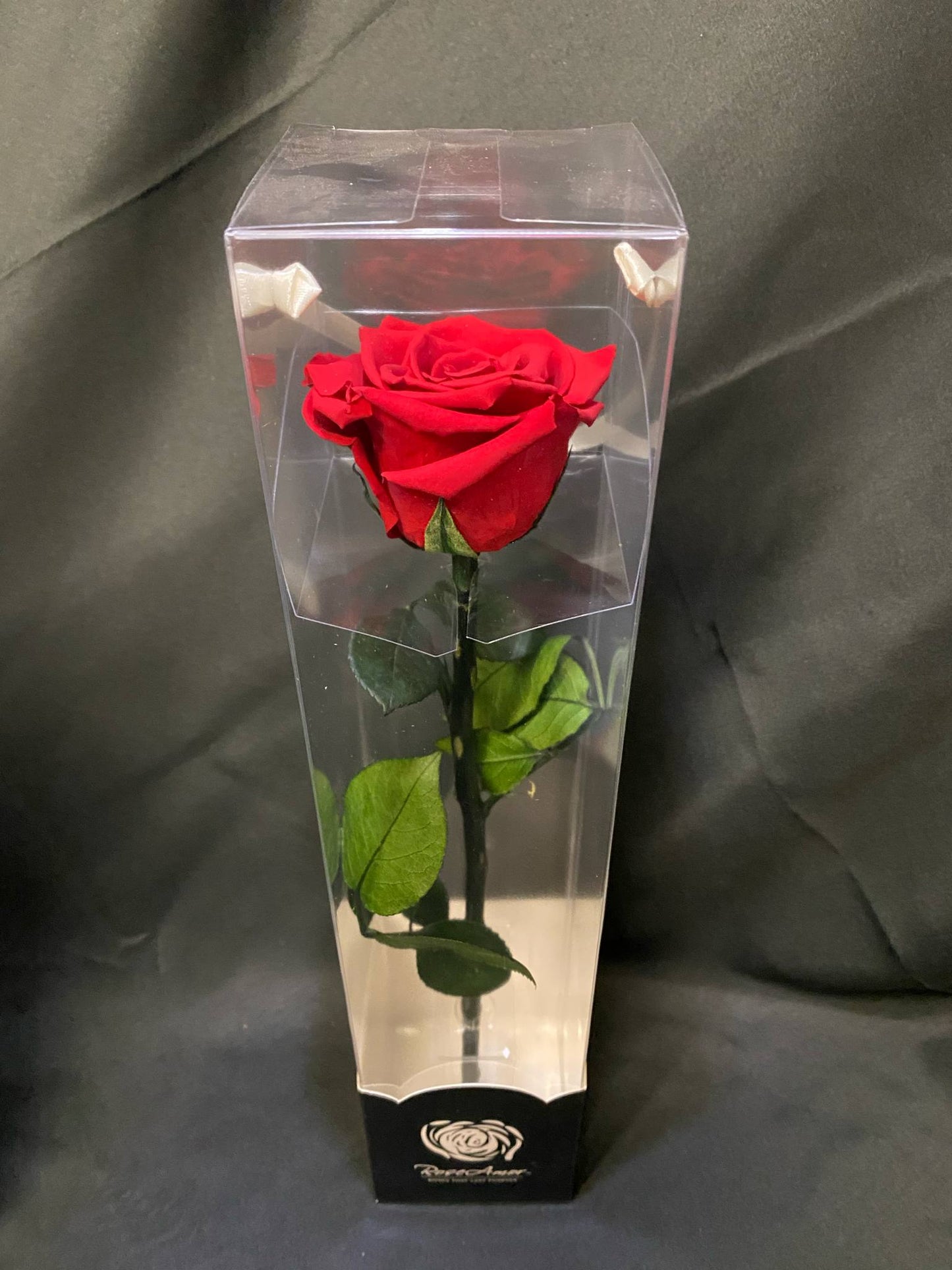 Red Forever Rose