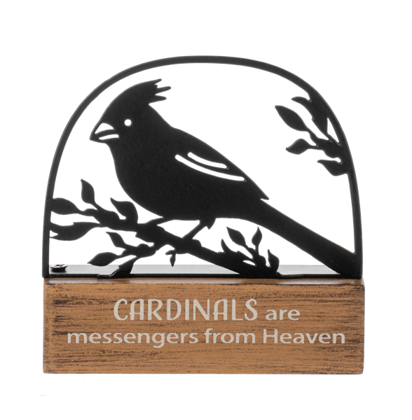 "Cardinals are messengers from Heaven"