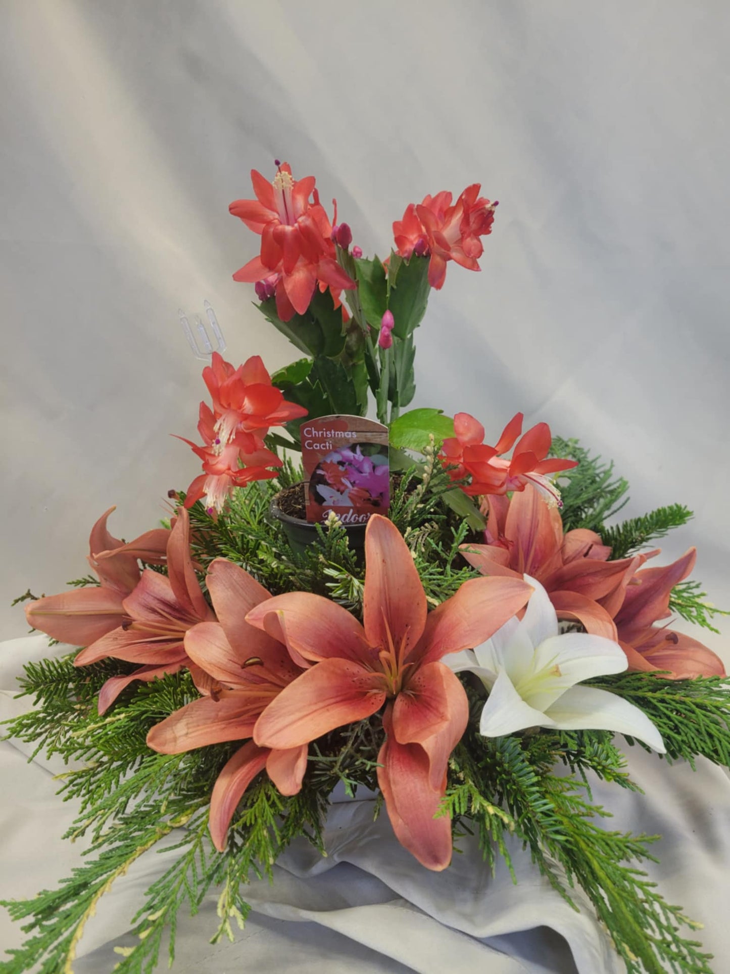 Cactus Cheer & Lily Love