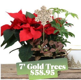 7" Gold Tree Planter