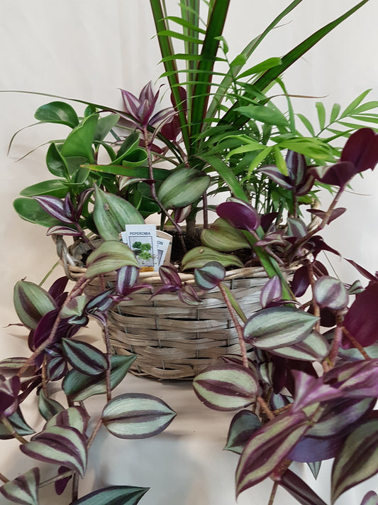 Tropical Oasis Basket