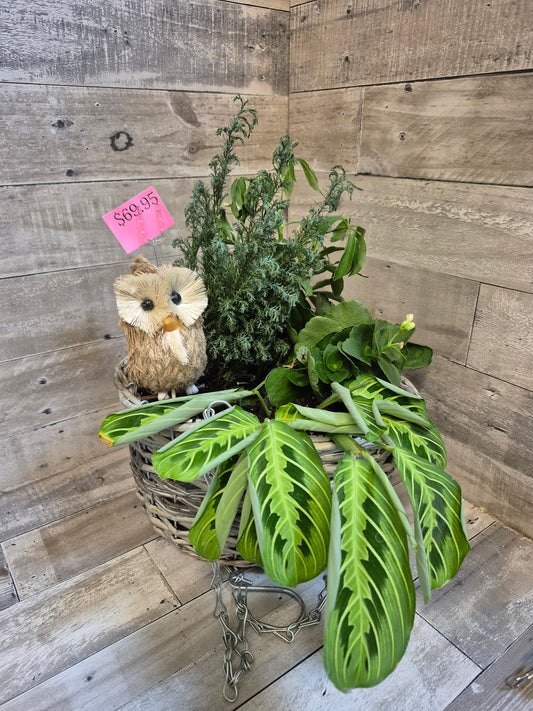 Wise Owl Garden Trio Hanging Basket