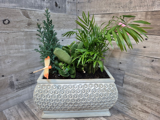 Dragonfly Garden Trio