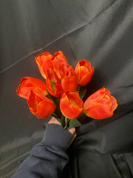 Orange Tulip Permanent Botanicals