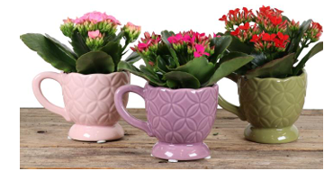 🌸 Mom’s Cup of Love 🌸