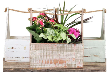 🧰🌸 Mom’s Handy Bloom Box 🌸🧰
