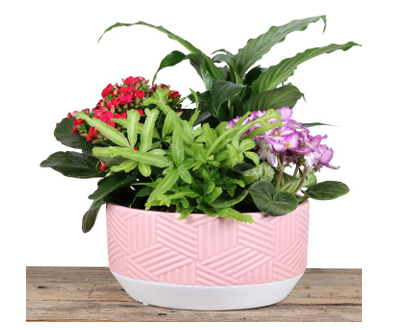 🌿💕 A Little Love – Blended For Mom 💕🌿