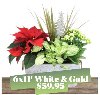 White & Gold Holiday Trio